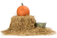 A Large Pumpkin Rests On A Straw Bale With A Bucket For Scraps In A Farm To Be Sold For Halloween Isolated On White