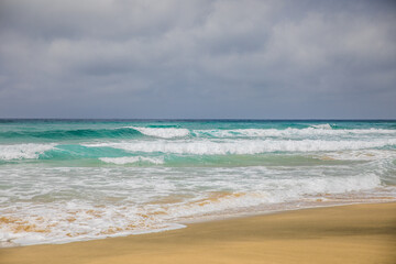 Wall Mural - beach and waves