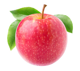 Poster - One pink apple with long stem and leaves isolated on white background