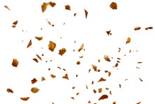 Dry Autumn Falling Leaves On White Background