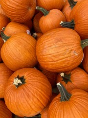 Wall Mural - pile of pumpkins at the market