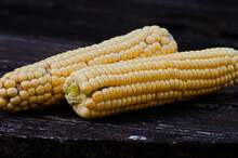 Delicious Ripe Yellow Corn Growing In A Field For A Delicious