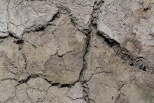 Crack Dried Mud Surface Of The Ground.
