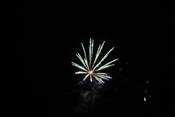 Fireworks in the night sky 