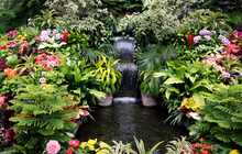 An Indoor Fountain In The Middle Of Greenery And Flowers In Butchart Gardens In Victoria, Canada