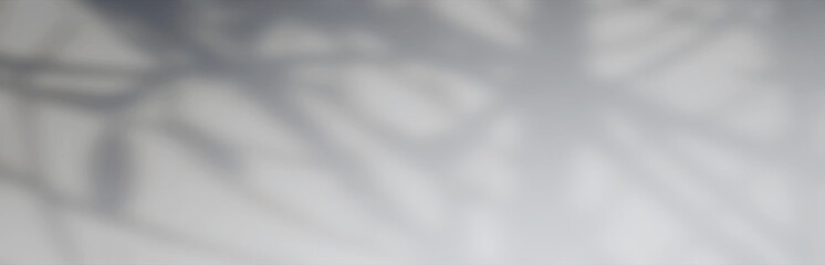 Wall Mural - abstract shadows, blurred background of gray leaves and natural trees that reflect concrete walls, f