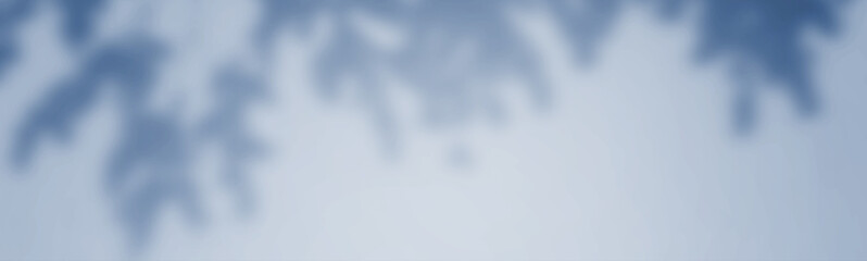 Wall Mural - abstract shadows, blurred backgrounds, blue leaves, blue and natural trees that reflect concrete wal