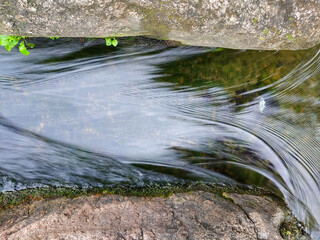 water flowing in the forest