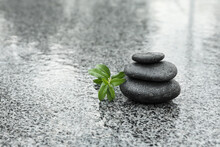Stack Of Spa Stones With Green Leaves On Wet City Street, Space For Text