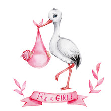 Cute Cartoon Stork With Baby Girl And Pink Ribbon "It's A Girl!" And Pink Leaves; Watercolor Hand Draw Illustration; Can Be Used For Baby Shower; With White Isolated Background