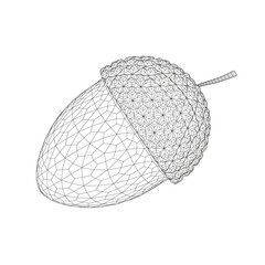 Poster - Acorn wireframe from black lines isolated on white background. 3D. Vector illustration