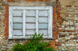 Drewniane stare, białe  okno w ceglanym murze zniszczonego domu.