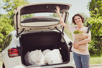 Wall Mural - Photo of positive girl have lifestyle weekend shopping drive ride car buy market bread leek vegetables open trunk hold bags in city center outdoors