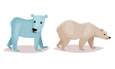 Wall Mural - polar bear as carnivore mammal isolated on white background vector set