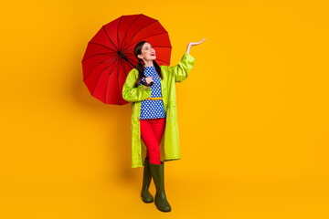 Canvas Print - Full length body size view of her she nice attractive pretty cheerful cheery glad girl wearing green raincoat catching raindrop isolated bright vivid shine vibrant yellow color background