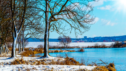 Wall Mural - Winter landscape with river and trees on the shore in sunny weather