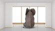 Elephant sitting in minimalist room