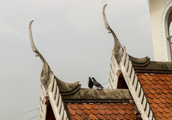 Two pigeons perched on the roof at Buddhist temple. Selective focus.