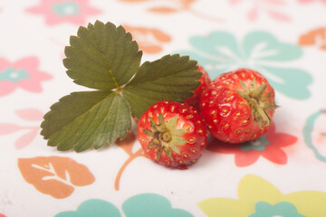 Wall Mural - strawberry on a plate