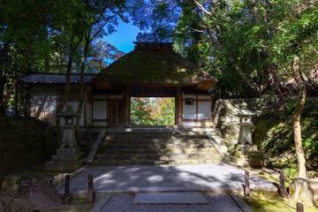 Wall Mural - Temple in the middle of the forest in Kyoto (Japan)