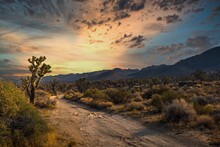 This Beautiful Outdoor Image Captures A Golden Sky Right Before Sunset In A Remote Desert Landscape. 