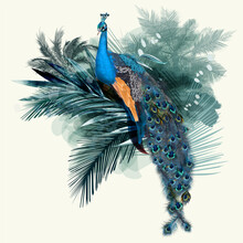 Illustration With Vector Realistic Peacock Bird On Palm Jungle Background