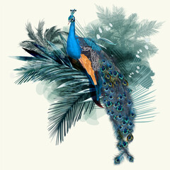 Poster - Illustration with vector realistic peacock bird on palm jungle background