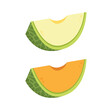 Melon vector. Melon on white background.