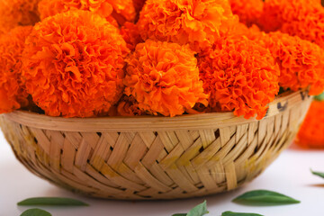 Poster - Marigold flowers in basket on white background