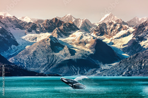 Fotomural Alaska whale watching boat excursion