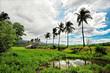 Idyllic scenery of a native hut, coconut palm trees surrounded by rice fields, pools and plantations against mountains and a cloudy sky, Philippines 