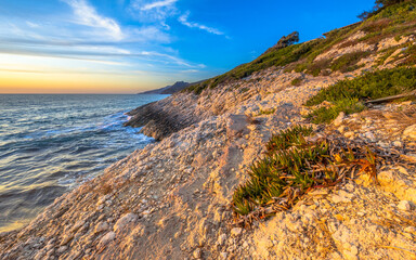 Poster - Coastal vegetation Cap Corse