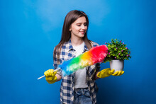 Portrait Of Beautiful Housewife In Rubber Gloves Holding Green Flower And Colorful Duster While Doing Housework Isolated Over Blue Background