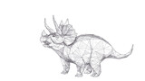 Fototapeta  - Polygonal huge 3d triceratops with horns isolated in white background. Abstract hand drawing of triceratops dinosaur consists of black lines, dots and triangles. Vector animal sketch concept