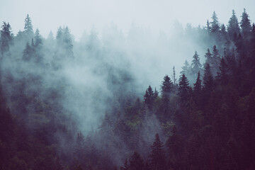 misty mountain landscape