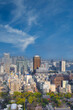 Tokyo Skyline, japan city cityscape at twilight, Tokyo is the world's most populous metropolis.