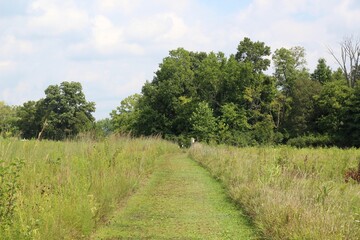 The grass trail in the country field on a sunny day.