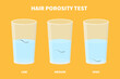Natural hair porosity float test infographics. Strand with low, normal and high cuticle porosity in a glass of water. Anatomical structure scheme. Cartoon vector illustration. 