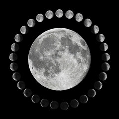 Phases of the Moon. Lunar cycle. 