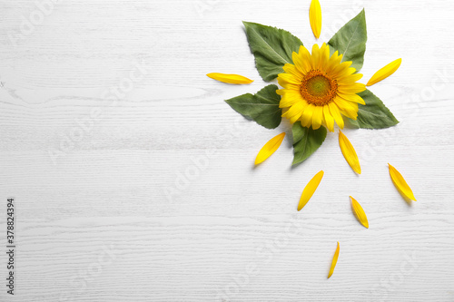 Fotografía Beautiful bright sunflower and petals on white wooden background, flat lay