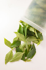 Wall Mural - Isolated curry leaves okarapincha (Murraya koenigii)