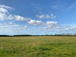 field and sky