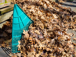 a green plastic leaf rake leaning against a deck covered in oak and maple leaves