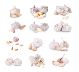 Wall Mural - Garlic isolated on white background