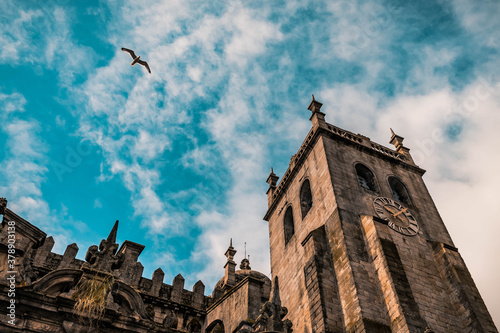 Fotomural Cattedrale di Porto Oporto con cielo nuvoloso e gabbiano.