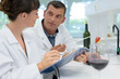 male and female wine specialists working in a laboratory