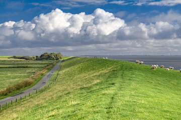 north frisian coastal landscape with a dike - 3519
