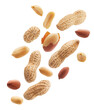 © phive2015 - Peeled, unpeeled and whole shell peanuts isolated on white background