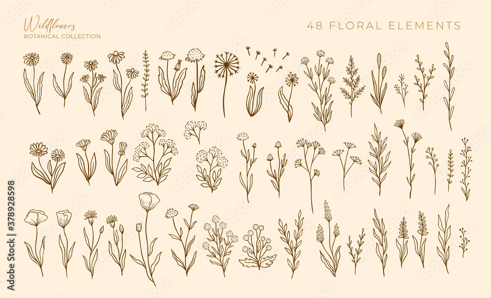 Wildflowers outline hand drawn set. Flower doodle botanical collection. Herbal and meadow plants, grass. Isolated vector illustration. - obrazy, fototapety, plakaty 