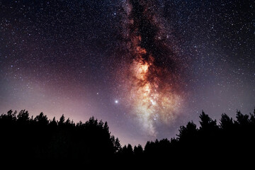 Wall Mural - silhouette of fir trees and beautiful starry sky with bright milky way galaxy. night landscape. astr
